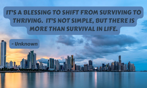 Survive and Thrive - Daily Wisdom for Men Suffering With PTSD